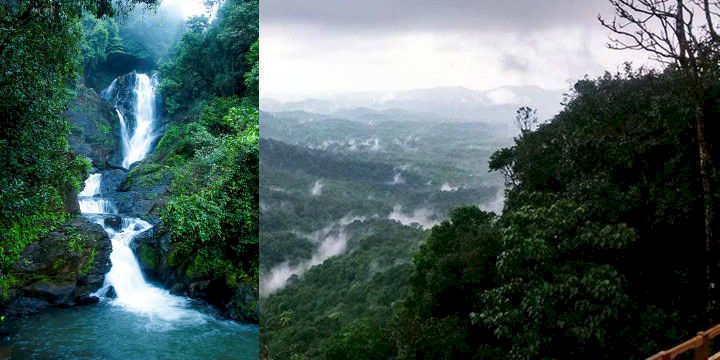 ವಿಭೂತಿ ಜಲಪಾತ ವೀಕ್ಷಣೆಗೆ  ಪ್ರವಾಸಿಗರಿಗೆ ನಿಷೇಧ